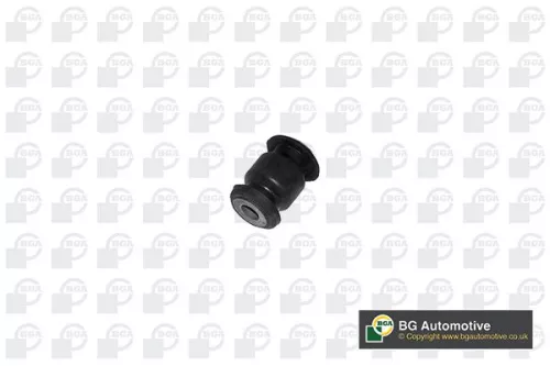 Mounting, control/trailing arm