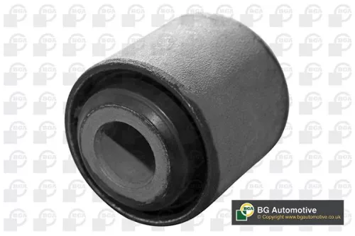 Mounting, control/trailing arm