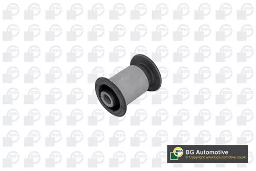 Mounting, control/trailing arm