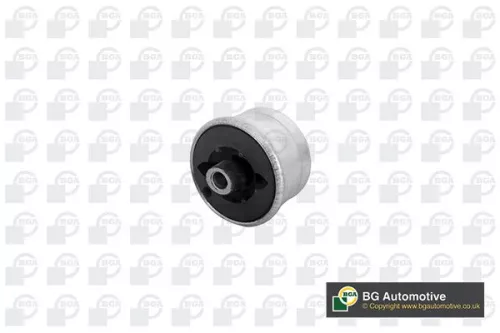 Mounting, control/trailing arm