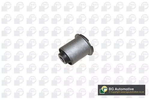 Mounting, control/trailing arm