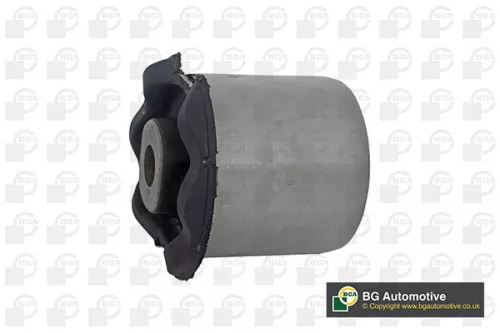 Mounting, control/trailing arm