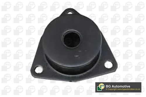 BGA BGA (BU4253) Mounting, control/trailing arm 
