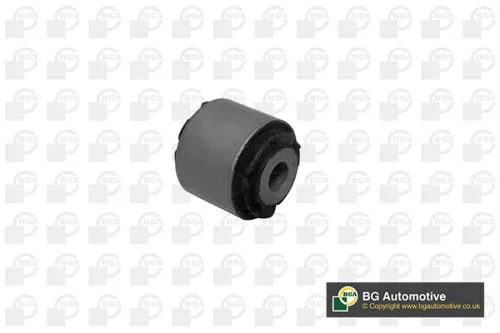 BGA BGA (BU5409) Mounting, control/trailing arm 