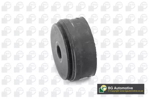 BGA BGA BU5423 Mounting, control/trailing arm 