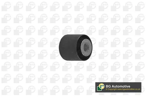 BGA BGA (BU5606) Mounting, control/trailing arm 