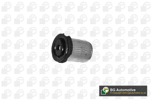 Mounting, control/trailing arm