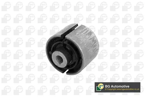 Mounting, control/trailing arm