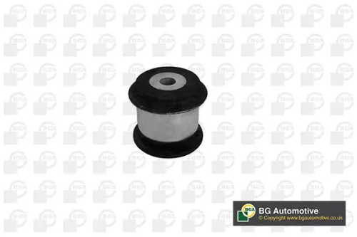 BGA BGA (BU5634) Mounting, control/trailing arm 