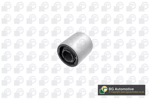 Mounting, control/trailing arm