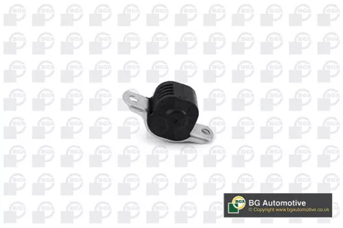 Mounting, control/trailing arm