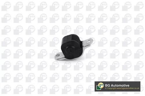 Mounting, control/trailing arm