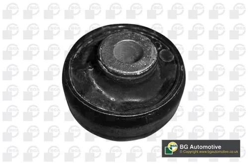 Mounting, control/trailing arm