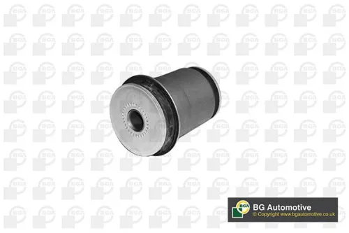 Mounting, control/trailing arm