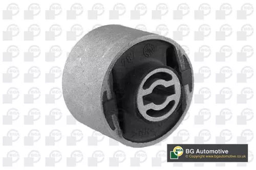 Mounting, control/trailing arm