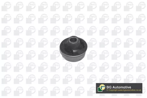 Mounting, control/trailing arm