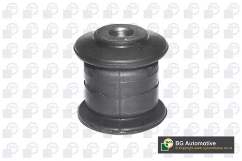 Mounting, control/trailing arm