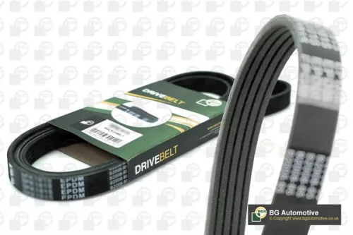 BGA V-Ribbed Belt (5PK725)