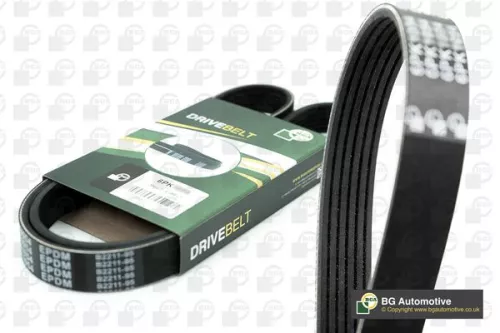 BGA V-Ribbed Belt (6PK1090E)