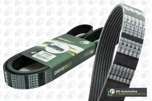 BGA V-Ribbed Belt (8PK2188)