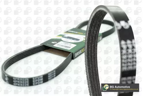 V-Ribbed Belt