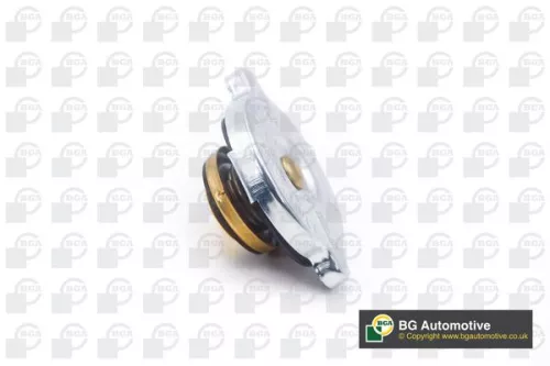 Cap, coolant tank