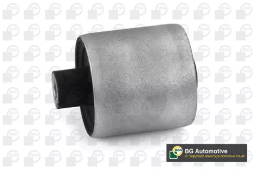 BGA BGA (BU0413) Mounting, control/trailing arm 