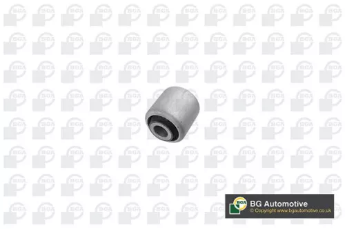 Mounting, control/trailing arm