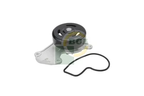 BGA Water Pump, engine cooling (CP7312)