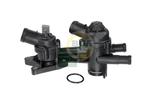 Thermostat, coolant