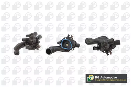 Thermostat, coolant