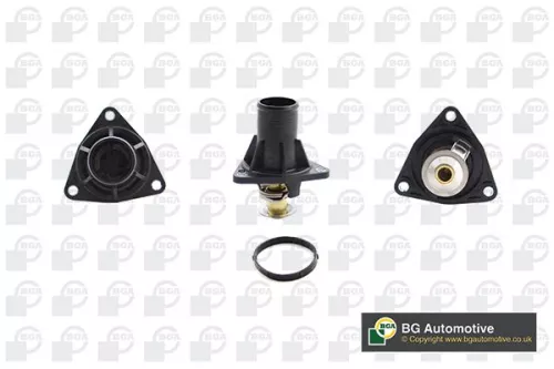 Thermostat, coolant