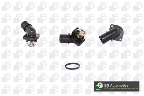 Thermostat, coolant