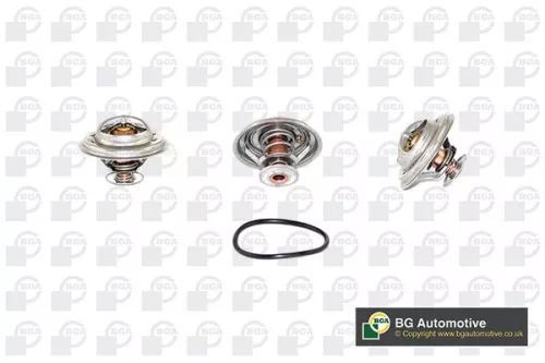Thermostat, coolant