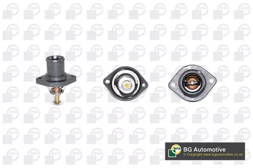 Thermostat, coolant