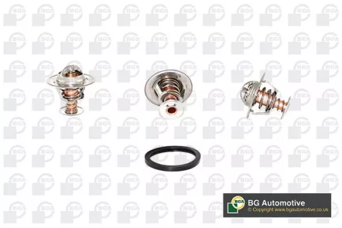 Thermostat, coolant