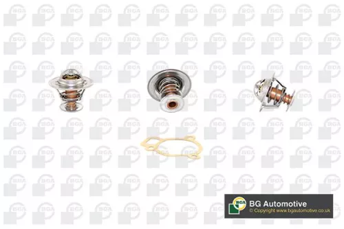 Thermostat, coolant