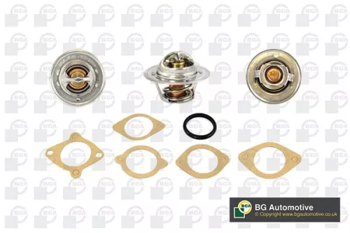 Thermostat, coolant