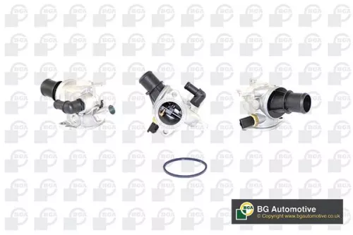 Thermostat, coolant