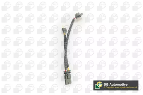 BGA Sensor, coolant temperature (CT5901W)
