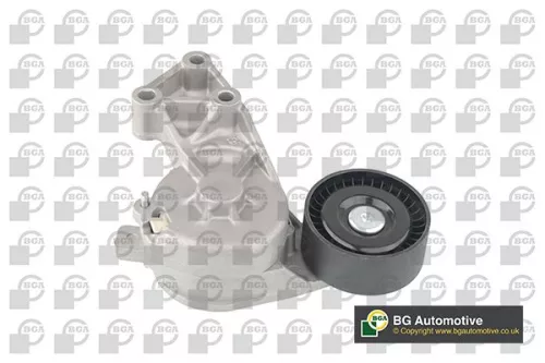 BGA BGA DC0114 Tensioner Lever, V-ribbed belt 