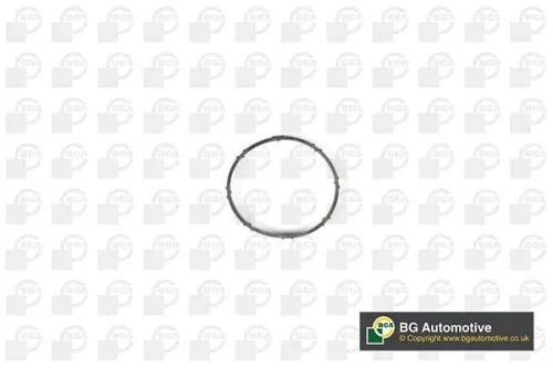 BGA Gasket, intake manifold (MG1201)