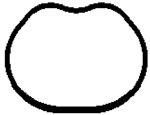 BGA BGA (MG8528) Gasket, intake manifold 