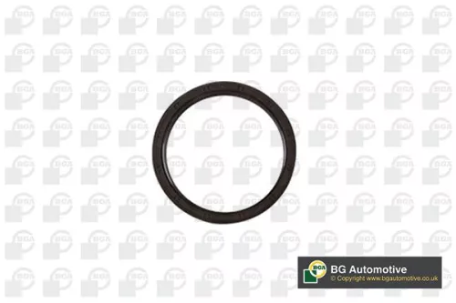 Shaft Seal, crankshaft