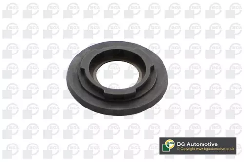 BGA BGA OS7500 Shaft Seal, crankshaft 