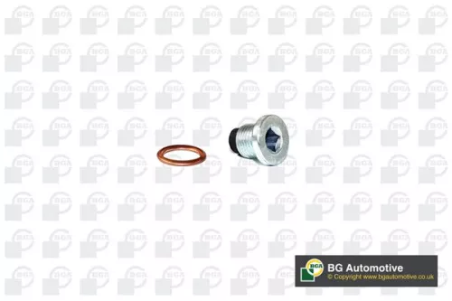 BGA Screw Plug, oil sump (PK1403)