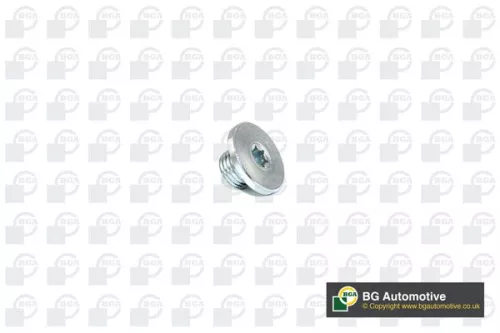 BGA Screw Plug, oil sump (PK2200)