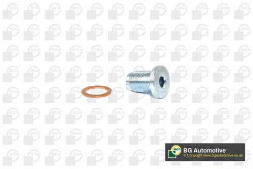 BGA Screw Plug, oil sump (PK2201)
