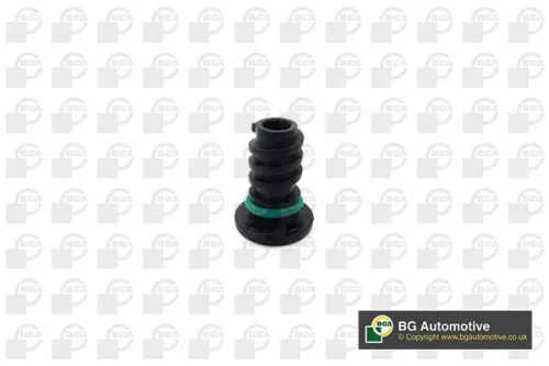 BGA Screw Plug, oil sump (PK5603)