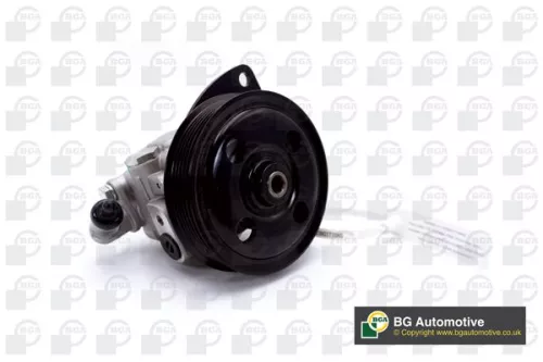 BGA Hydraulic Pump, steering (PSP4239)